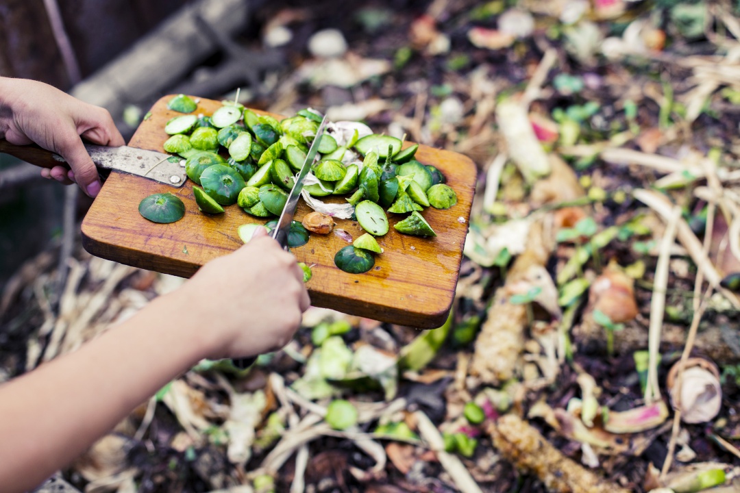 kako gnojimo zelenjavni vrt, gnojila za vrt, kompost, zastirka