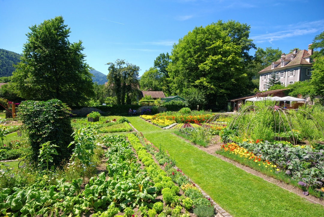 kuhinjski vrt zelenjavni vrt dizajn vrta načrtovanje vrta francoski