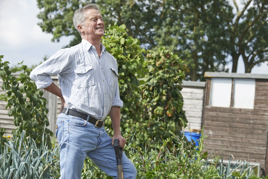 bolečine v križu pri vrtnarjenju na zelenjavnem vrtu starejši moški